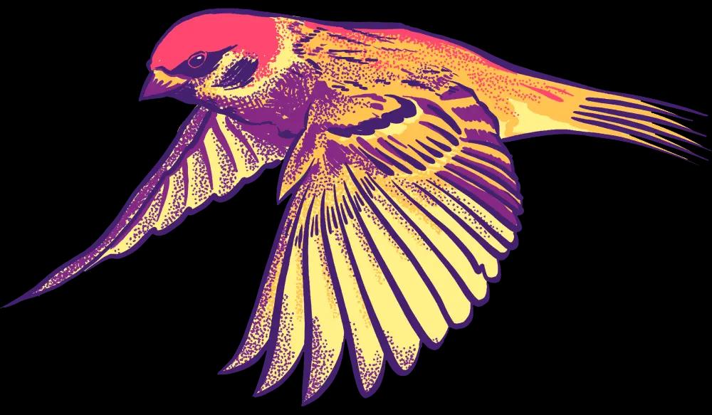 bird
